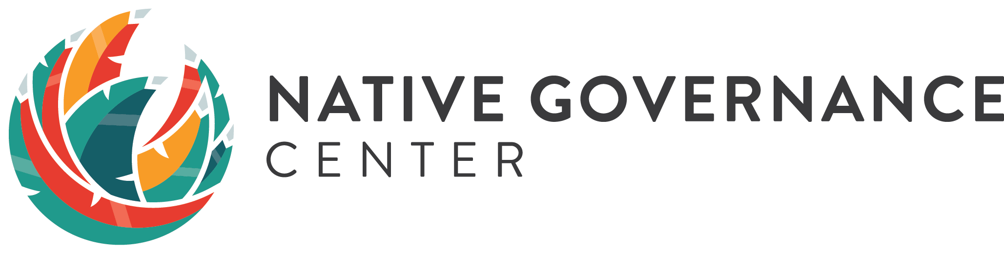 Native Governance Center logo
