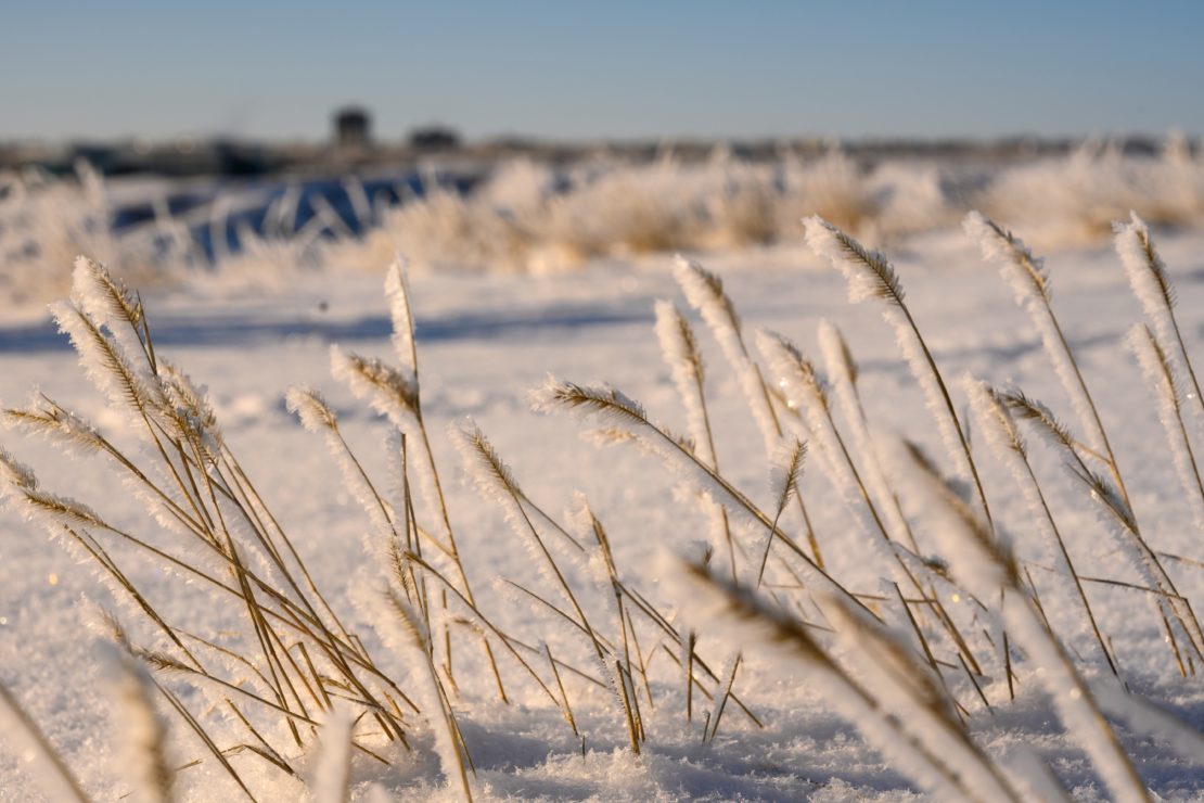 Go to Governance Can Help Us Prepare for the Next Winter Storm