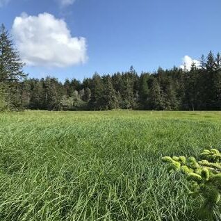 NERRS Science Collaborative